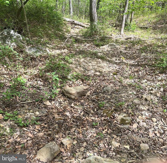 15 ACRES RECREATIONAL LAND IN FALL RUN FOREST
