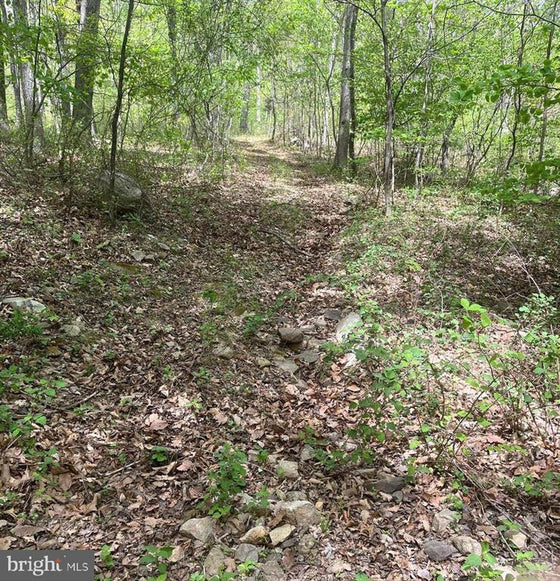 15 ACRES RECREATIONAL LAND IN FALL RUN FOREST