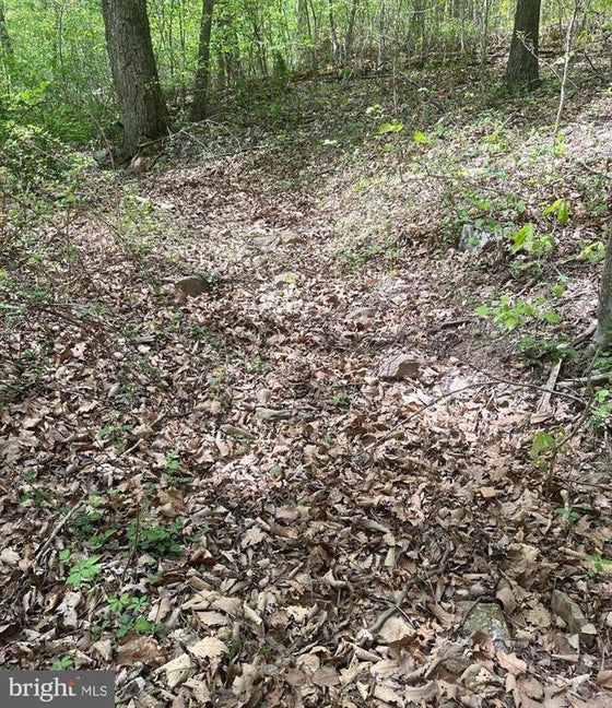 15 ACRES RECREATIONAL LAND IN FALL RUN FOREST
