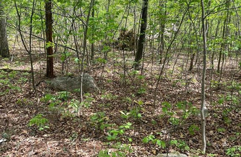 15 ACRES RECREATIONAL LAND IN FALL RUN FOREST-8