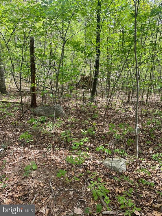 15 ACRES RECREATIONAL LAND IN FALL RUN FOREST