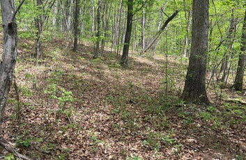 15 ACRES RECREATIONAL LAND IN FALL RUN FOREST-9