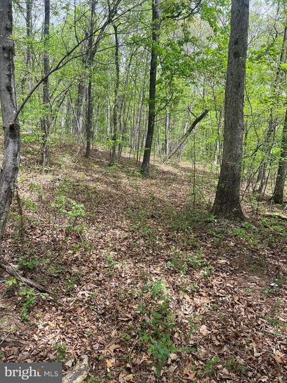 15 ACRES RECREATIONAL LAND IN FALL RUN FOREST