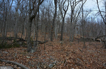 49.61 ACRES LAND ROCKWOOD TRAIL, WINCHESTER VA-8