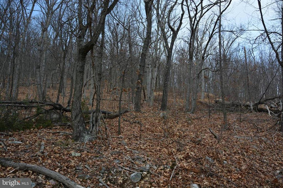 49.61 ACRES LAND ROCKWOOD TRAIL, WINCHESTER VA