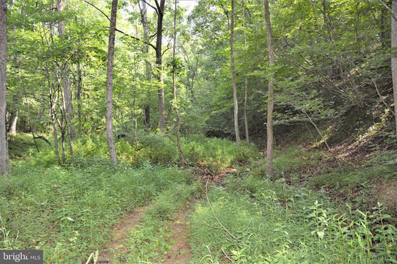 15.90 ACRES LAND WITH LITTLE MOUNTAIN CREEK FRONTAGE IN FREDERICK COUNTY, VA