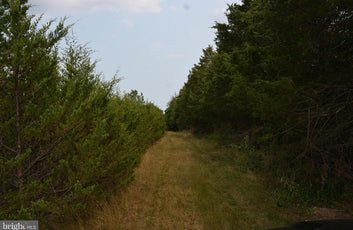 9.44 PRIME COMMERCIAL ACRES IN STEPHENS CITY, VA-9