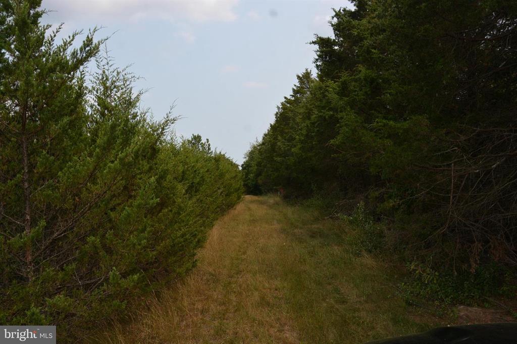 9.44 PRIME COMMERCIAL ACRES IN STEPHENS CITY, VA