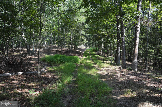 30.78 WOODED ACRES IN CROSS JUNCTION, VA