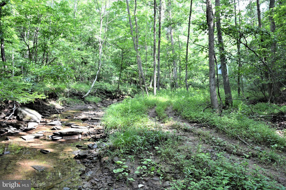 15.90 ACRES LAND WITH LITTLE MOUNTAIN CREEK FRONTAGE IN FREDERICK COUNTY, VA