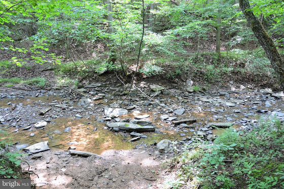 15.90 ACRES LAND WITH LITTLE MOUNTAIN CREEK FRONTAGE IN FREDERICK COUNTY, VA