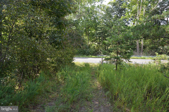 30.78 WOODED ACRES IN CROSS JUNCTION, VA