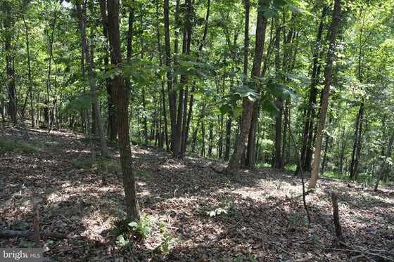 30.78 WOODED ACRES IN CROSS JUNCTION, VA