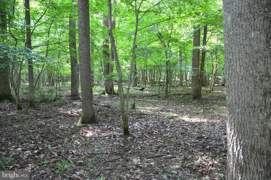 15.90 ACRES LAND WITH LITTLE MOUNTAIN CREEK FRONTAGE IN FREDERICK COUNTY, VA