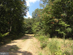 1376 PAULS WOODS RD, DELRAY WV 2.9 ACRES LAND (SOLD)