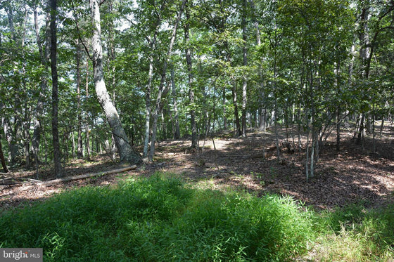 30.78 WOODED ACRES IN CROSS JUNCTION, VA
