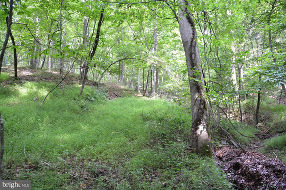 15.90 ACRES LAND WITH LITTLE MOUNTAIN CREEK FRONTAGE IN FREDERICK COUNTY, VA