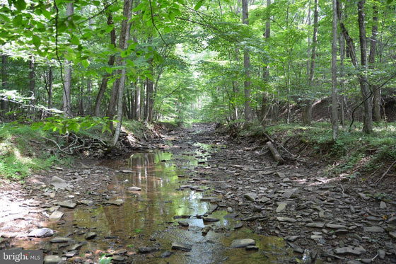 15.90 ACRES LAND WITH LITTLE MOUNTAIN CREEK FRONTAGE IN FREDERICK COUNTY, VA