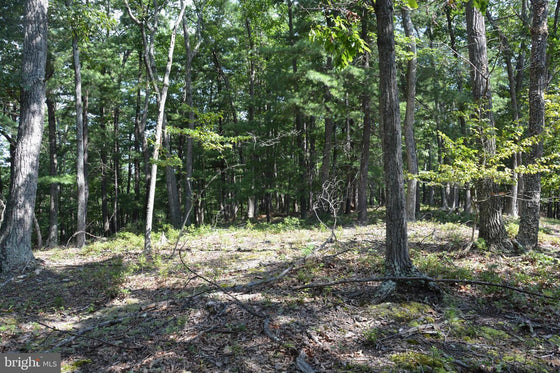 30.78 WOODED ACRES IN CROSS JUNCTION, VA