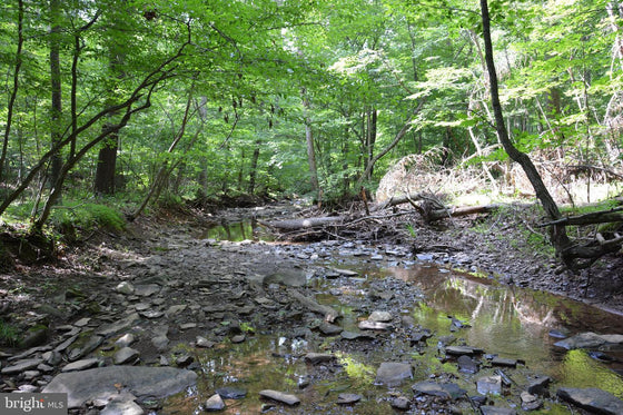 15.90 ACRES LAND WITH LITTLE MOUNTAIN CREEK FRONTAGE IN FREDERICK COUNTY, VA
