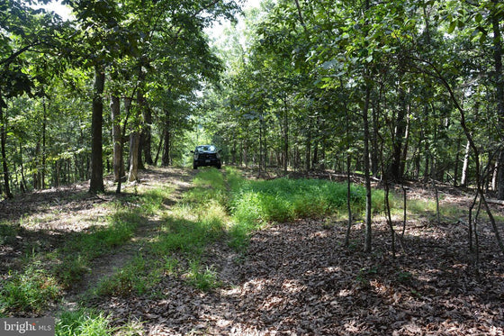 30.78 WOODED ACRES IN CROSS JUNCTION, VA