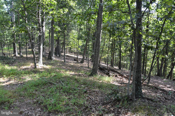 30.78 WOODED ACRES IN CROSS JUNCTION, VA