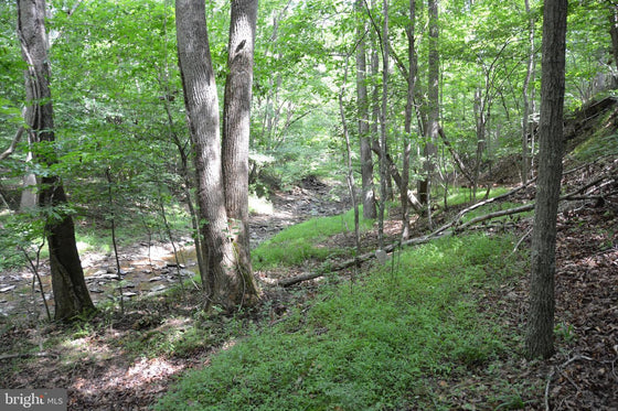 15.90 ACRES LAND WITH LITTLE MOUNTAIN CREEK FRONTAGE IN FREDERICK COUNTY, VA