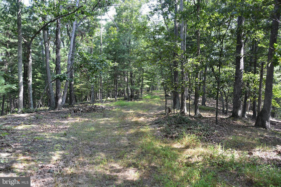 30.78 WOODED ACRES IN CROSS JUNCTION, VA