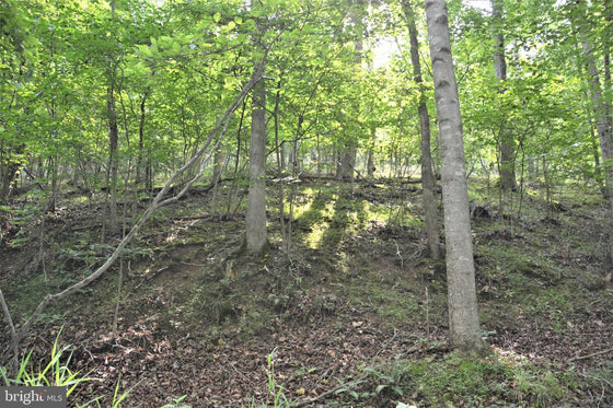 15.90 ACRES LAND WITH LITTLE MOUNTAIN CREEK FRONTAGE IN FREDERICK COUNTY, VA