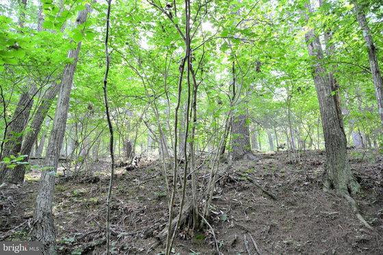 15.90 ACRES LAND WITH LITTLE MOUNTAIN CREEK FRONTAGE IN FREDERICK COUNTY, VA