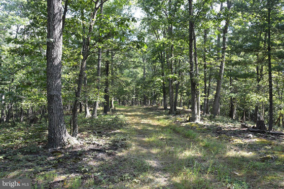 30.78 WOODED ACRES IN CROSS JUNCTION, VA