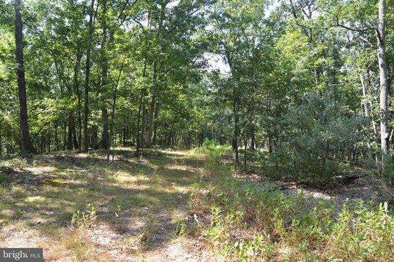 30.78 WOODED ACRES IN CROSS JUNCTION, VA