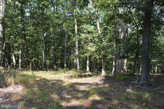 30.78 WOODED ACRES IN CROSS JUNCTION, VA