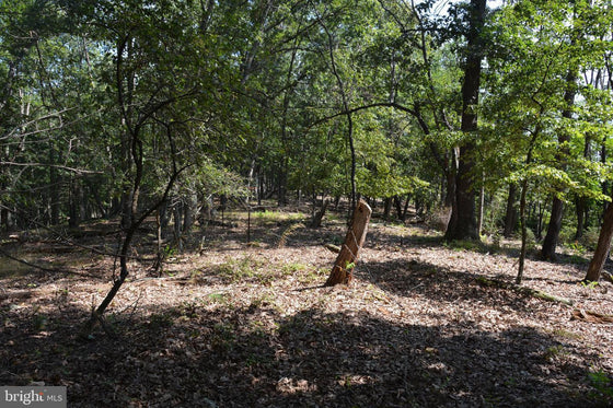 30.78 WOODED ACRES IN CROSS JUNCTION, VA