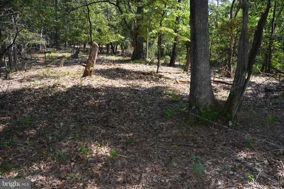 30.78 WOODED ACRES IN CROSS JUNCTION, VA