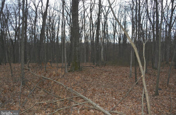 7.11 ACRES WOODED LAND IN CROSS JUNCTION, VA-2