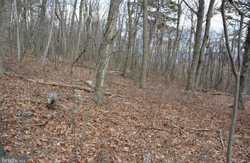 49.61 ACRES LAND ROCKWOOD TRAIL, WINCHESTER VA-9