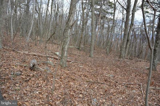 49.61 ACRES LAND ROCKWOOD TRAIL, WINCHESTER VA