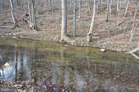 1.19 ACRES LAND IN GORE, VA WITH CREEK FRONTAGE