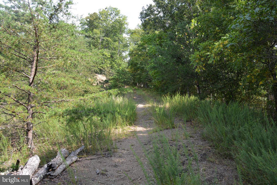 30.78 WOODED ACRES IN CROSS JUNCTION, VA