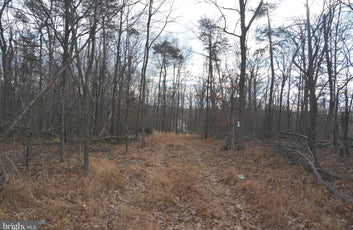 5.33 ACRES WOODED LAND IN CROSS JUNCTION, VA-2