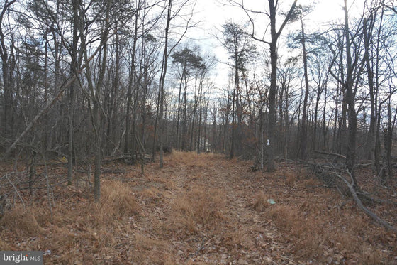 5.33 ACRES WOODED LAND IN CROSS JUNCTION, VA
