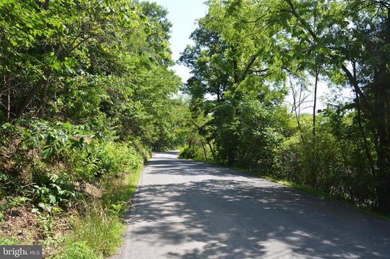 18.77 ACRES WOODED LAND WITH OLD HUNTING CABIN IN GORE, VA