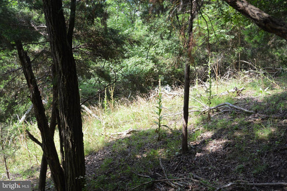 COMMERCIAL BUILDING WITH LAND YELLOW SPRING, WV
