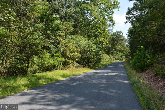 30.78 WOODED ACRES IN CROSS JUNCTION, VA