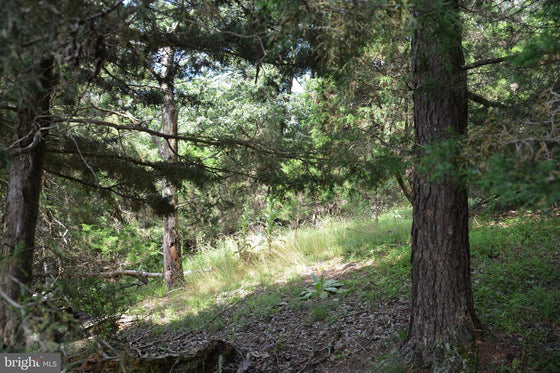 COMMERCIAL BUILDING WITH LAND YELLOW SPRING, WV