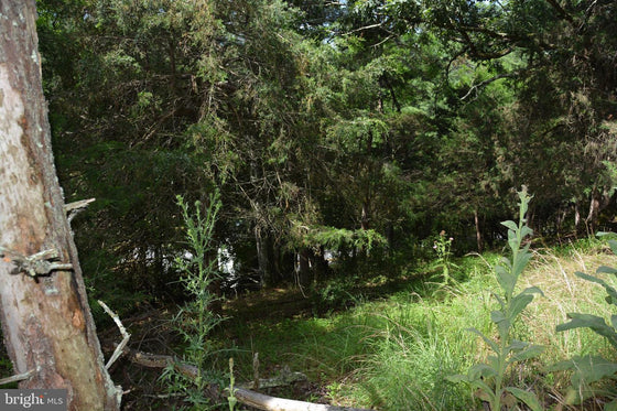 COMMERCIAL BUILDING WITH LAND YELLOW SPRING, WV