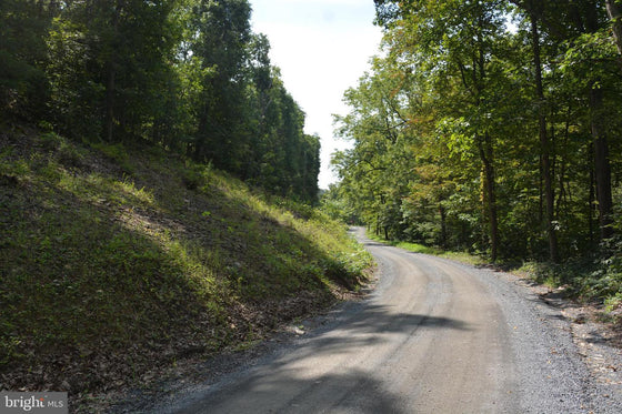 30.78 WOODED ACRES IN CROSS JUNCTION, VA