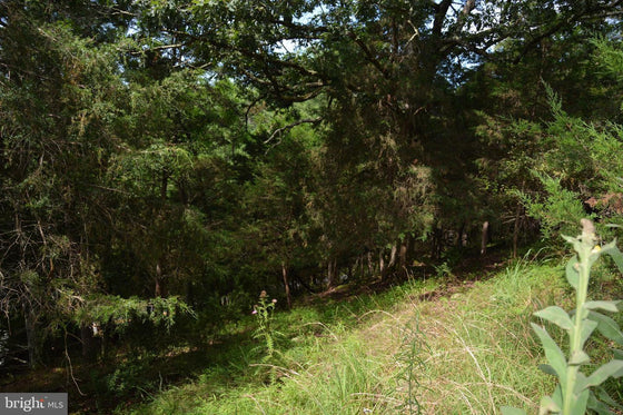 COMMERCIAL BUILDING WITH LAND YELLOW SPRING, WV