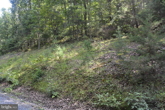30.78 WOODED ACRES IN CROSS JUNCTION, VA